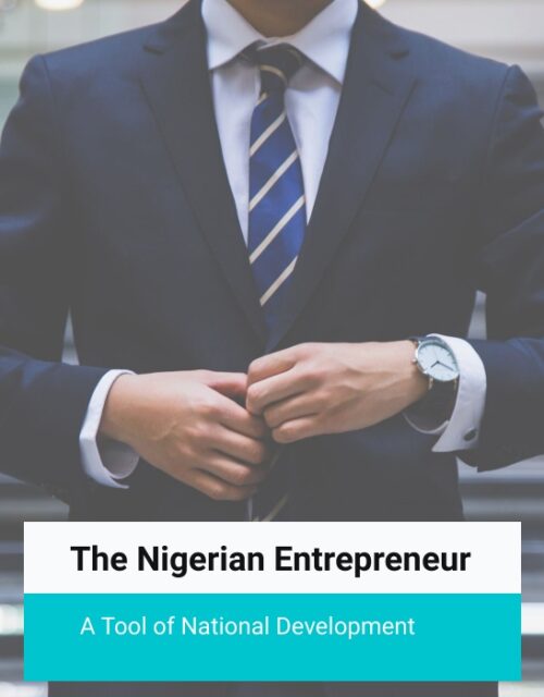 the nigerian entrepreneur