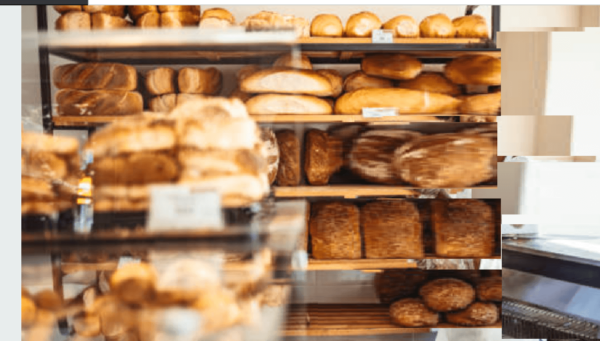 bakery business - Business plan on Bakery