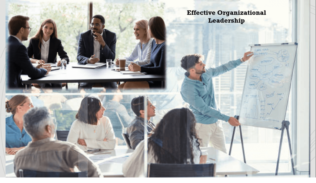 effective organizational leadership